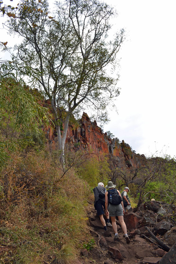 Waterberg hike. Photo ©Ron Swilling