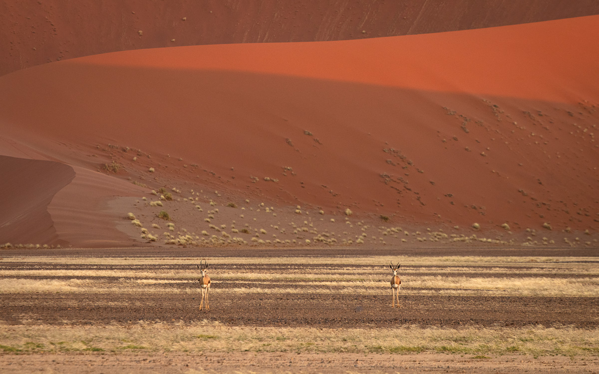 NamibiaPortfolio_EvanNaude (10)