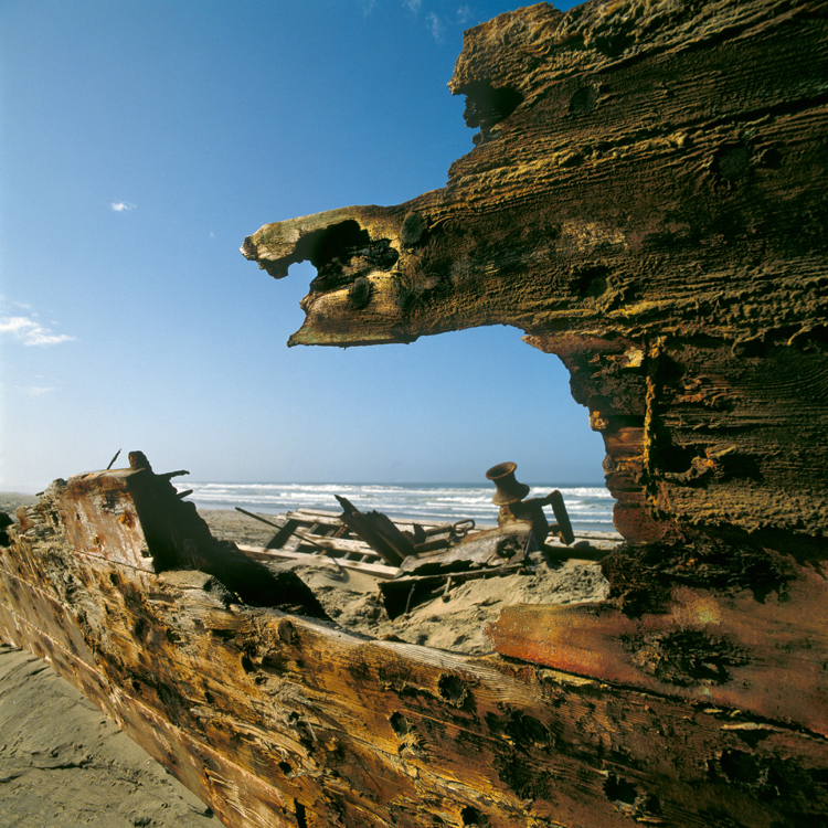 Skeleton coast shipwreck by Amy Schoeman