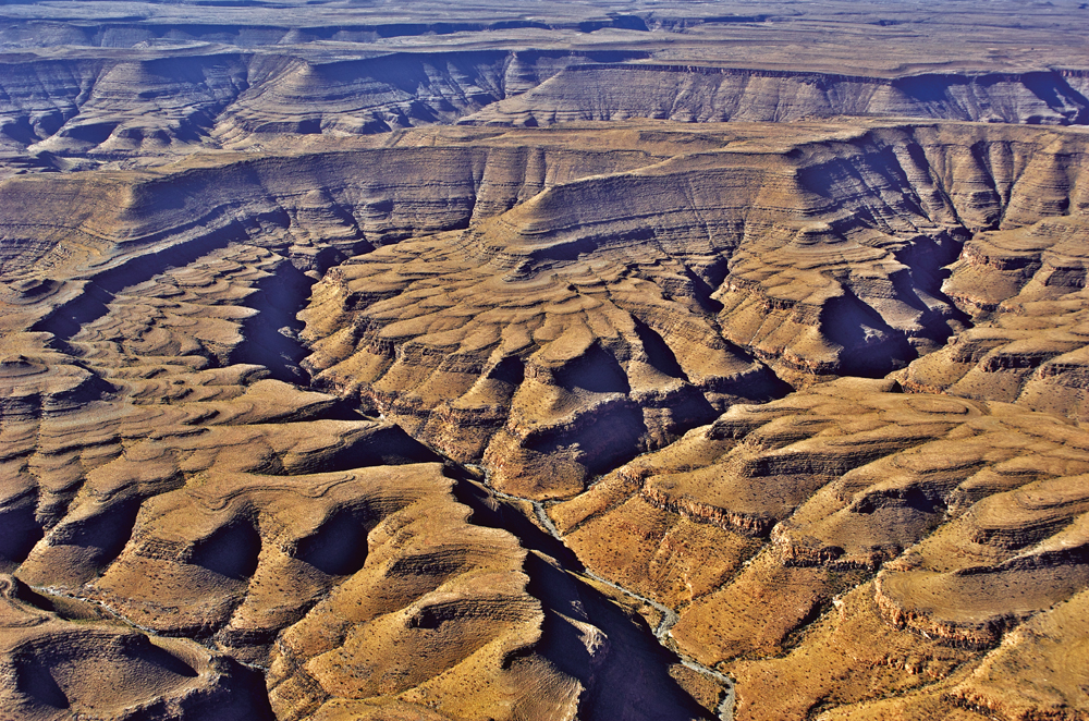 Zebra river. Photo ©Paul van Schalkwyk. 