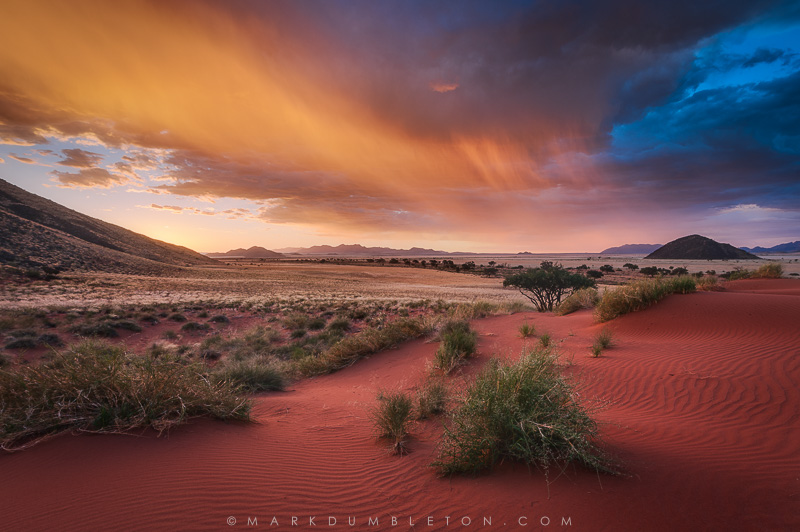 Photo ©MARK DUMBLETON PHOTOGRAPHY