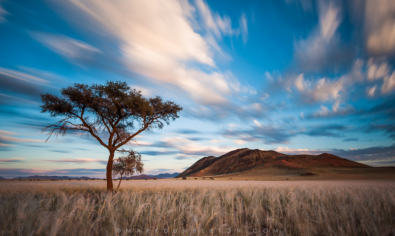 Photo ©MARK DUMBLETON PHOTOGRAPHY