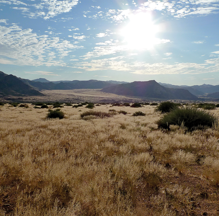 veld sandfontein